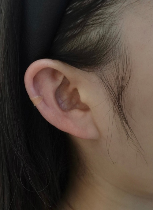 e0d12a29407ada1a60e30356c8ace8d1_1760520586_3182.jpg e0d12a29407ada1a60e30356c8ace8d1_1760520586_3182.jpg